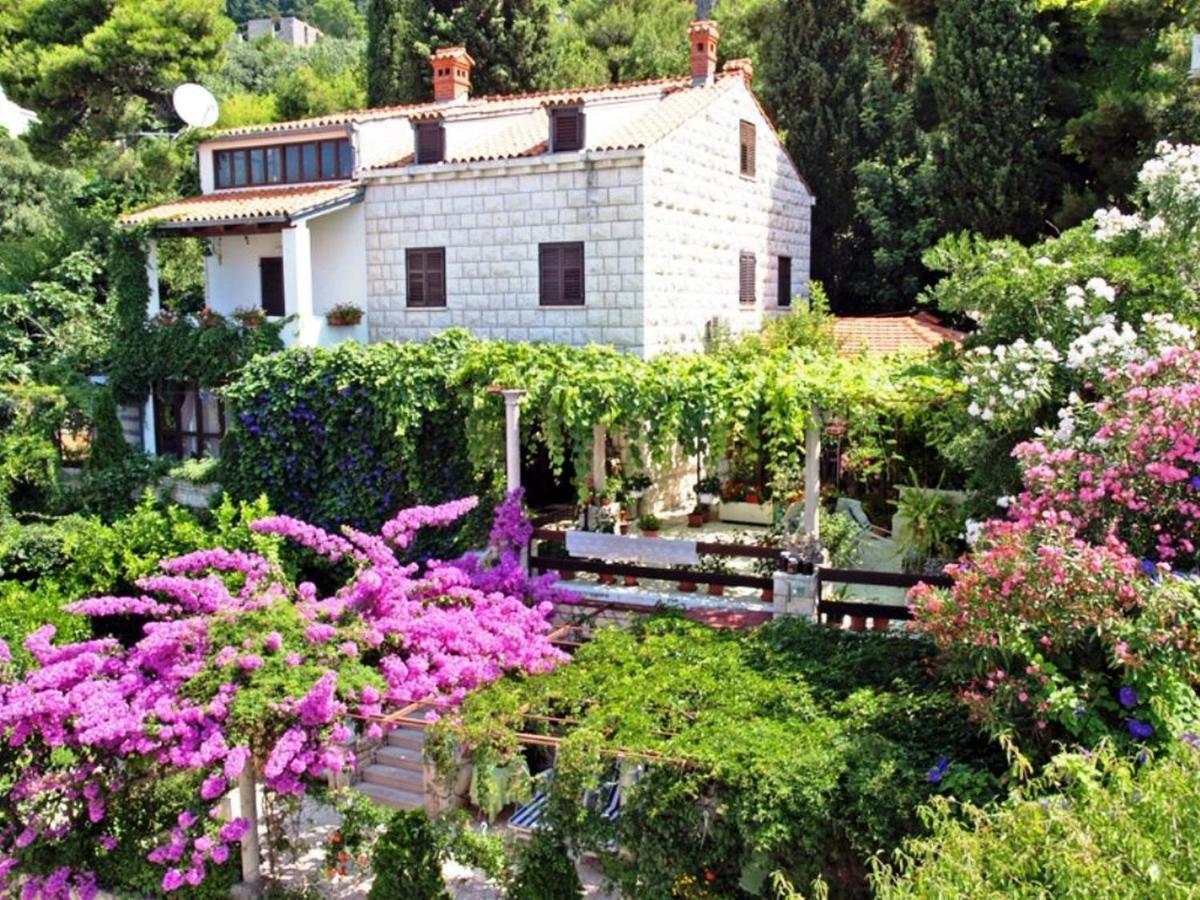 Guest House Foretic Dubrovník Exteriér fotografie